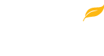 Southern New Hampshire University