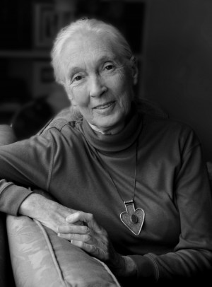 Dr. Jane Goodall